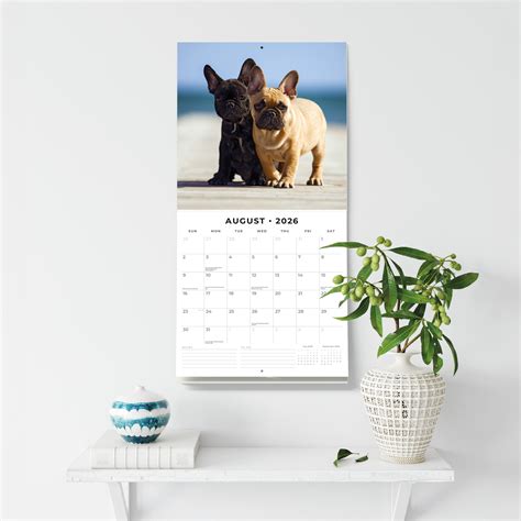 2026 French Bulldogs - Square Wall Calendar