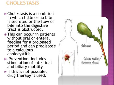 PPT - LIVER DISEASES PowerPoint Presentation - ID:1940263