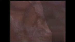 Desejo Nude Scenes Aznude