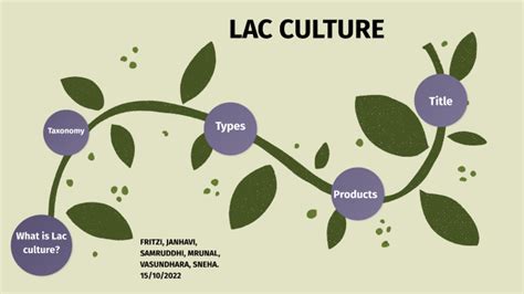 Lac Culture By Anjali Giri On Prezi