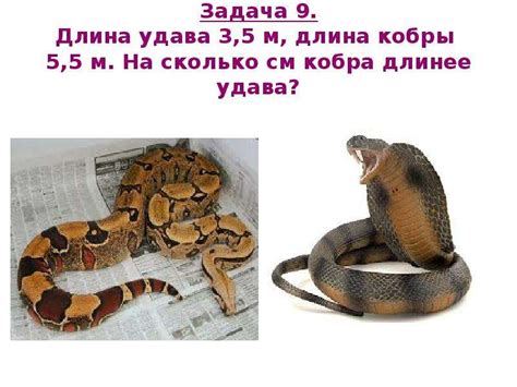 Живая планета! - презентация, доклад, проект скачать