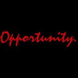 Opportunity Group: Jedes Problem ist auch eine Chance