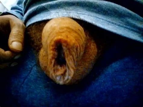 Kocalos Pissing Gay Porn XHamster