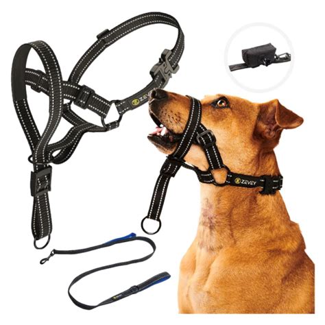 10 Best Dog Halters In 2024 Reviews And Top Picks Dogster