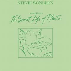 Stevie Wonder Discography The Secret Messages Hidden In His Music