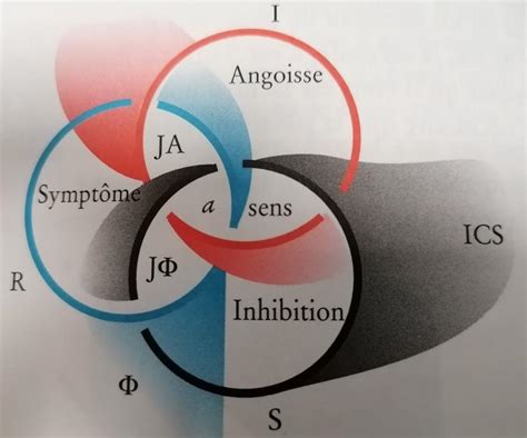 RSI, Leçon du 21 janvier 1975