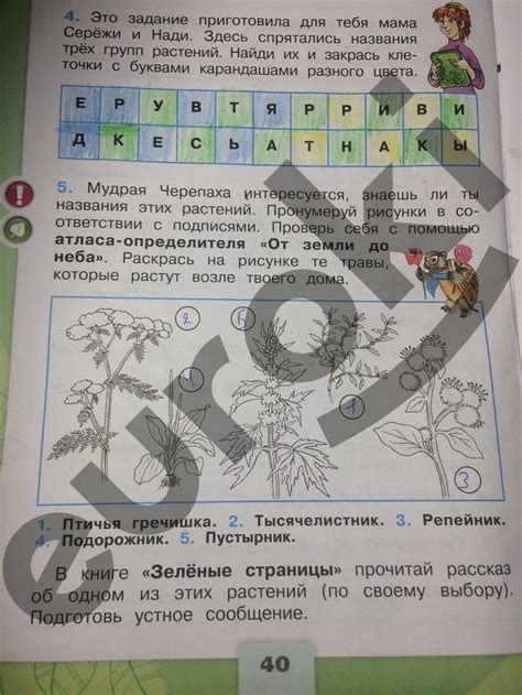 Окр мир плешаков 1 класс 2 часть ответы: ГДЗ Окружающий мир 1 класс ...