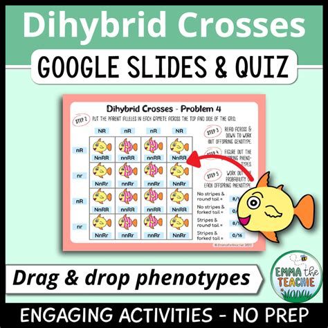 Dihybrid Crosses Doodle Notes Emmatheteachie