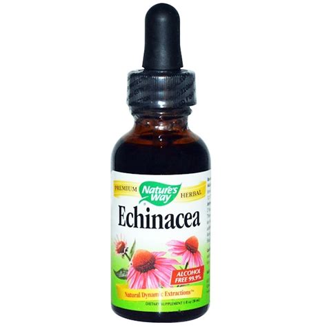 Средства с эхинацеей: на Iherb лучший выбор, инструкции по применению и ...