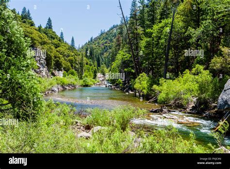 Redwood Creek At Kings Canyon Scenic Byway Highway 180 Kings Canyon