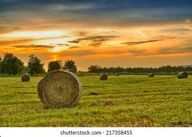 258 543 Hay Field Images Stock Photos Vectors Shutterstock