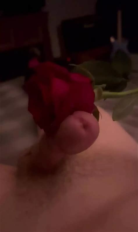 Edged By Her Rose Gay Amateur Amateur Porn Feat Xxxthatswhatsup XHamster