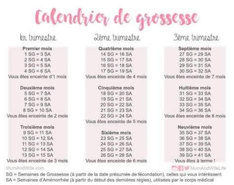 Calculer La Semaine De Grossesse