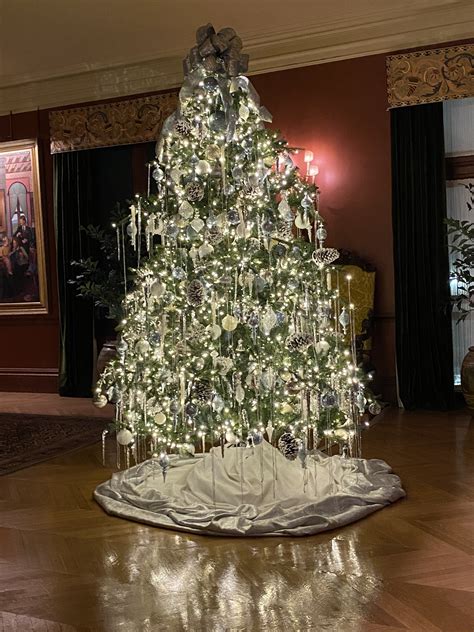 JOYFUL REFLECTIONS: Beauty at Biltmore, December 2022