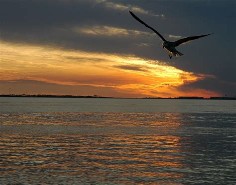 Free Images Landscape Sea Coast Nature Ocean Horizon Silhouette