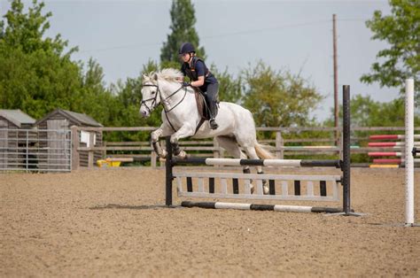 Brackenhurst Equestrian Centre Events | Nottingham Trent University