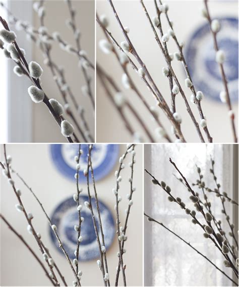 Simple Things April Showers Pussy Willows And A Health Update