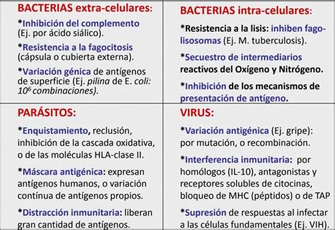 Mecanismos De Evasión Inmunitaria Virales Y Bacterianos 🔹paradigmia