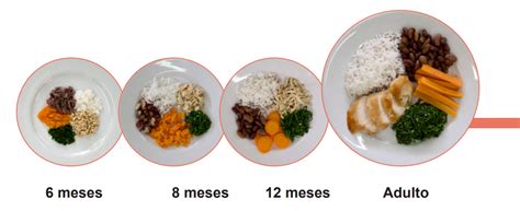 Introducao Alimentar Sbp - Introdução alimentar do bebê: passo a passo. | Dra. Jéssica Dantas