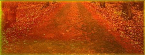 Журнал "Вестник". 5 выпуск | Wiki | ⓐⓝⓘⓜⓔ ⓐⓝⓓ ⓛⓐⓓⓨ ⓑⓤⓖ Amino