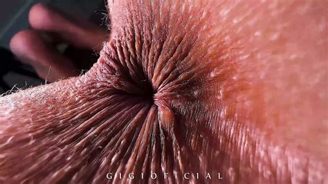 Life Story Of Porn Model Gigioficial Babe Porn By Faphouse Xhamster