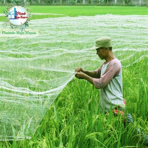 Jaring Burung 100 Yard 90 Meter Jaring Sawah Jaring Ikan Jaring