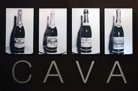 Cava 101 What Is Cava Sparkling Winos