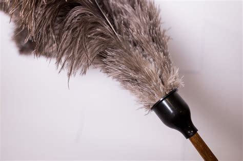 Feather Duster Large Longara Brushware