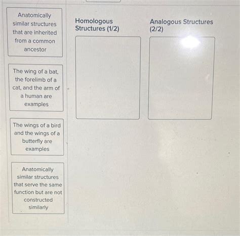 Solved Homologous Structures (1/2) that are inherited from a | Chegg.com