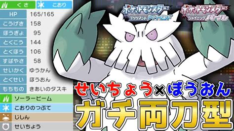 場に出しても雪が降らない！？せいちょうガチ両刀『ユキノオー』を使って対戦！【ポケモンbdsp】【コロシアム】【no168】 ポケモン