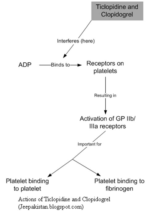 Your Source of Information: Ticlopidine and clopidogrel