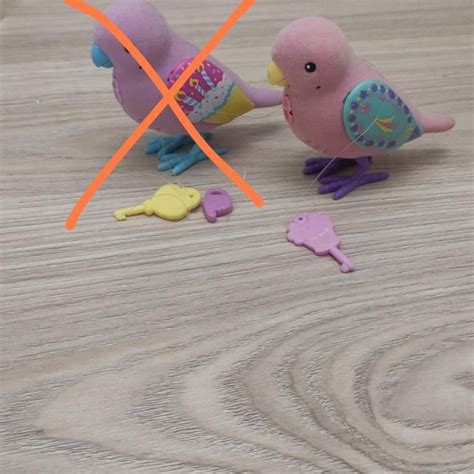 Птичка Little Live Pets – купить в Красноярске, цена 500 руб., дата ...