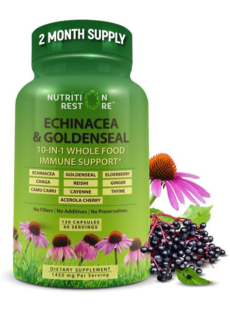 Echinacea Goldenseal Capsules In Immune Support Supplement