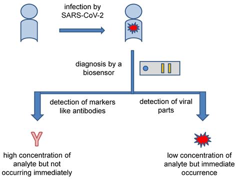 Sensors | Free Full-Text | Progress in Biosensors for the Point-of-Care ...