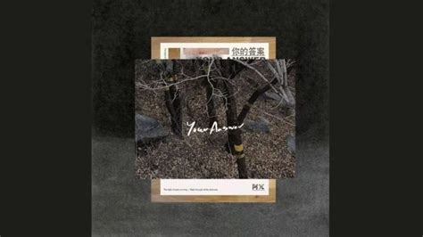 Top B I Nh C Tiktok Trung Qu C Remix Hot M I Nh T