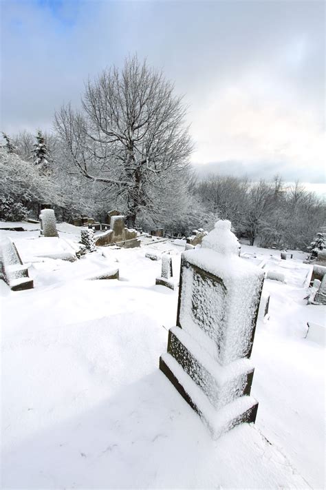 Cemetery In Winter Free Stock Photo Public Domain Pictures