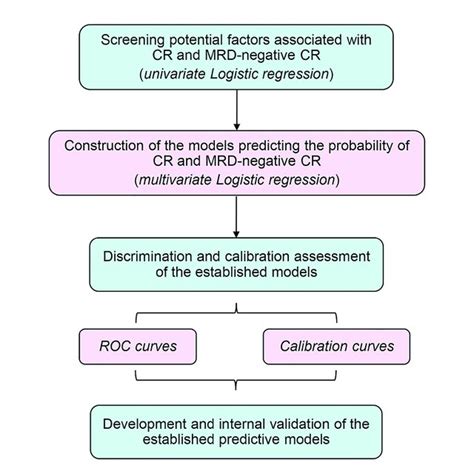 flowchart   analytic process   study