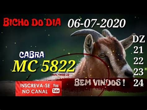 PALPITE DIA 06 07 2020 JOGO DO BICHO TODAS AS LOTERIAS YouTube