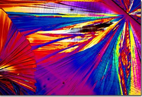 Sex And Sexuality Archives In Plainspeak