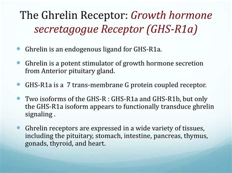 Ppt Ghrelin Signaling Pathway Powerpoint Presentation Free Download