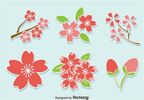 Plum Blossom Flower Vector Vector Art At Vecteezy