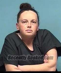 Recent Booking Mugshot For Amanda Lee Williams In Lorain County Ohio