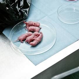 Naked Women Embracing Photograph By Science Photo Library Fine Art America