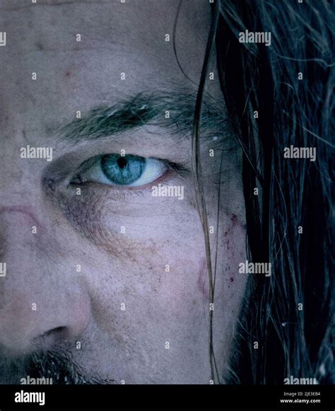 Leonardo Dicaprio The Revenant 2015 Stock Photo Alamy