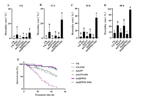 Bioassay Test Of Sm1 Challenged O Formosanus Treated With Dsofppo1 Download Scientific