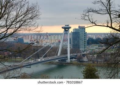 Naked Fat Belly Fourty Years Old Stock Photo 1944549202 Shutterstock