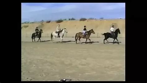 Sirena Lewis Free Porn Star Videos XHamster