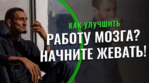 Как улучшить работу мозга? Начните жевать! - YouTube