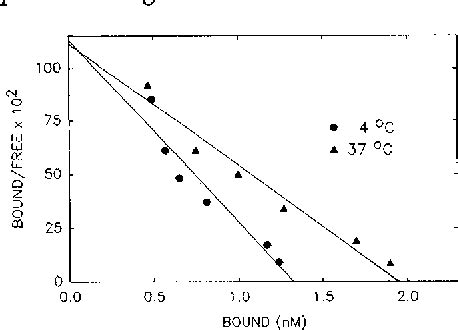 Figure From The Control Of The Interaction Of Sex Hormone Binding Globulin With Its Receptor