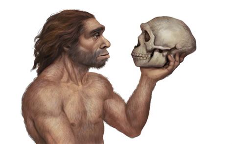 Como Foi O Proceso De Neandertalizaci N Na Pen Nsula Ib Rica Hai